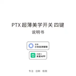 平头熊超薄美学开关四键 Mesh2.0
